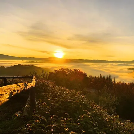 Suflora - Thinker's Mengara