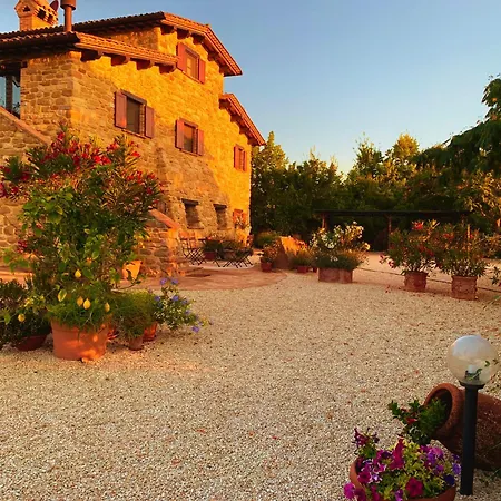 Suflora - Thinker's Mengara