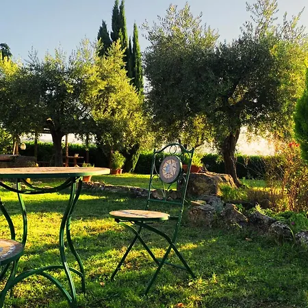 Suflora - Ancient Sanctuary