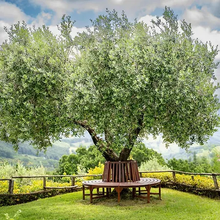 Suflora - Thinker's Mengara