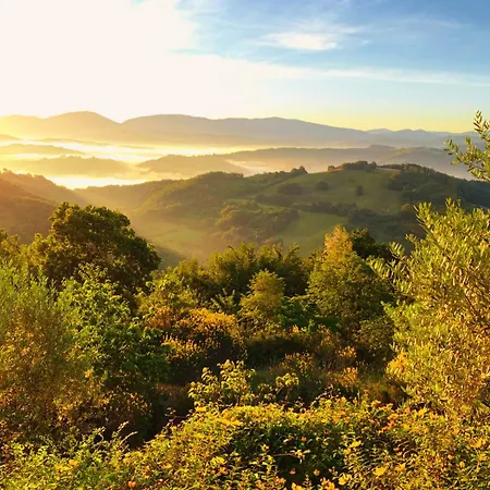 Suflora - Thinker's Villa Mengara