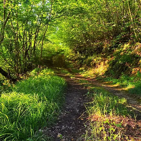 Suflora - Thinker's *