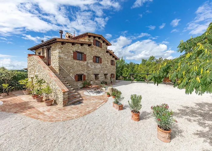 Suflora - Thinker's * Mengara