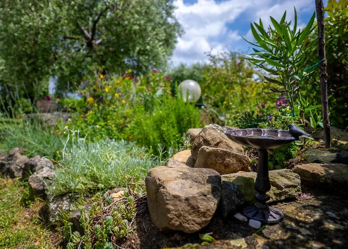 Suflora - Thinker's Villa *