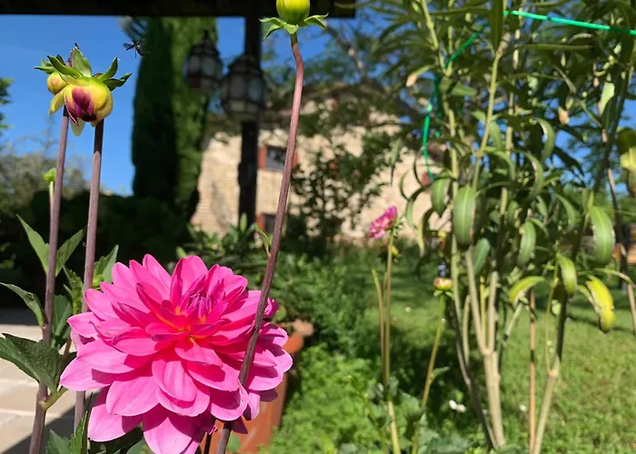 Villa Suflora - Thinker's