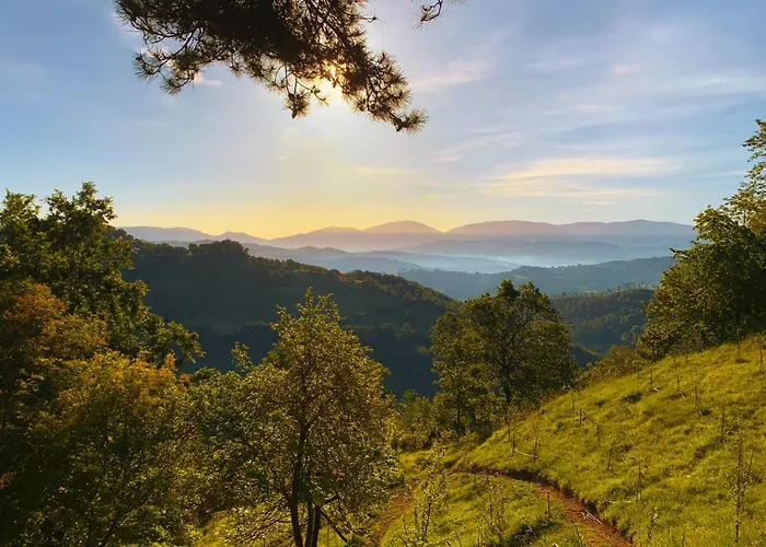 Suflora - Thinker's Villa Mengara