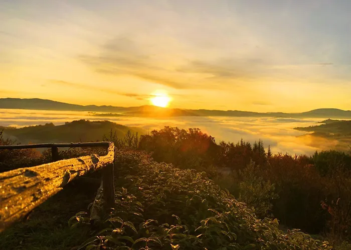 Suflora - Thinker's Mengara