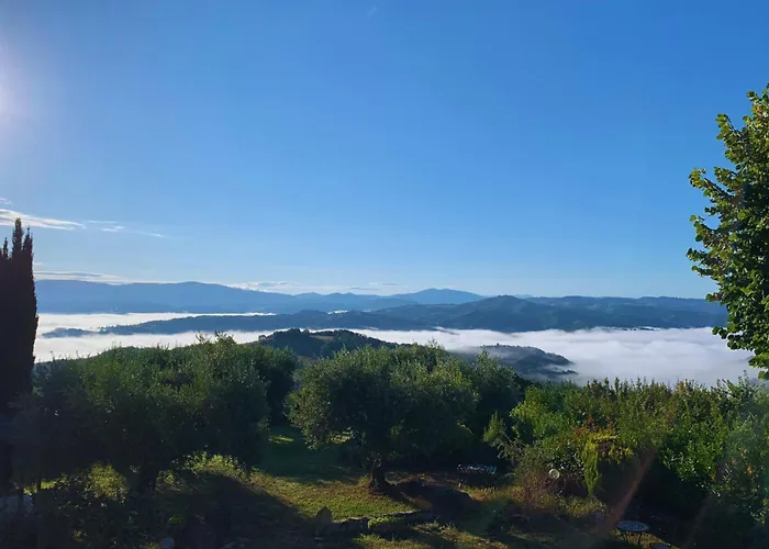 Suflora - Thinker's *