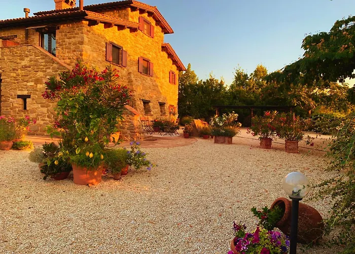 Suflora - Thinker's Mengara