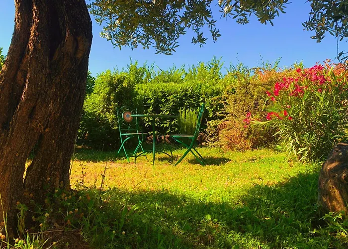 Suflora - Thinker's Villa *