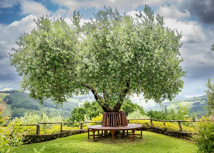 Suflora - Thinker's Mengara