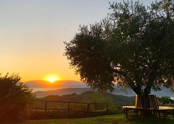 Suflora - Thinker's Willa *