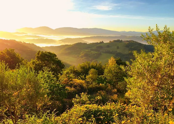 Suflora - Thinker's Willa Mengara