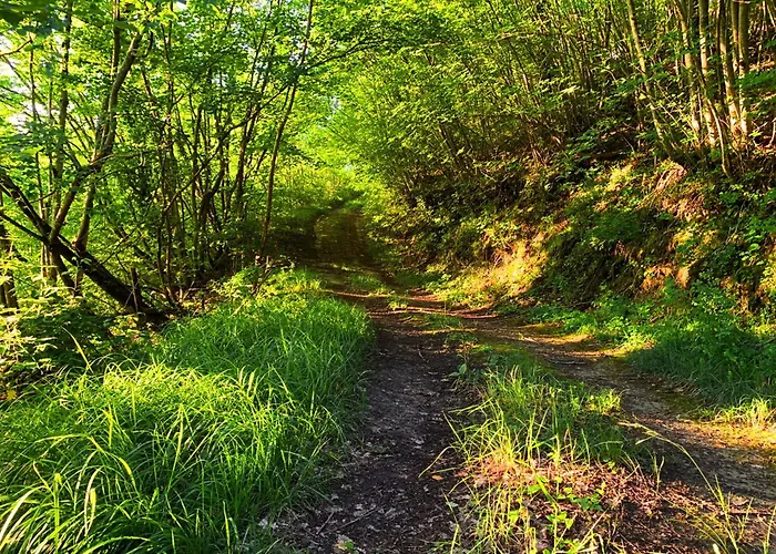 Suflora - Thinker's *